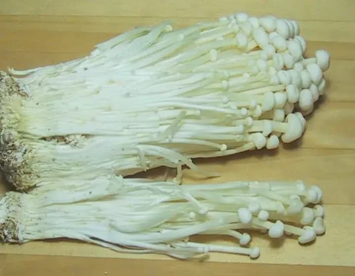 Foto real: Flammulina velutipes